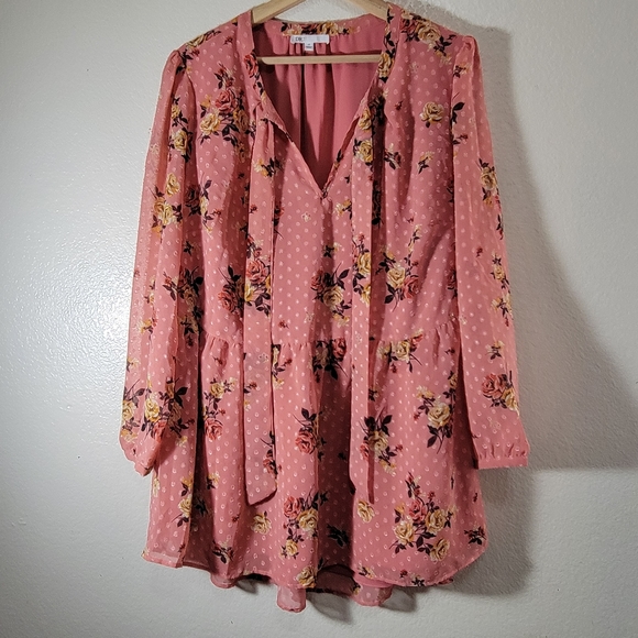 Dr2 Tops - DR2 Lined Sheer Long Sleeve Tunic